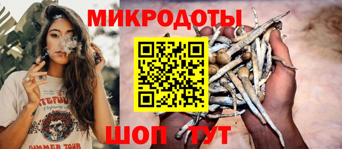 Псилоцибиновые грибы Psilocybe Гай